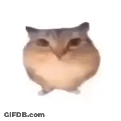 A Hamster With A Heart Shaped Face Is Standing On Its Hind Legs . GIF