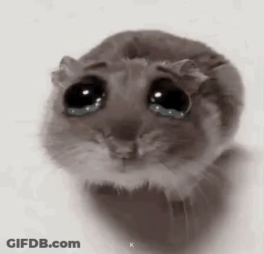 A Hamster With Tears In Its Eyes Is Looking At The Camera . GIF