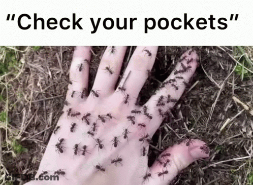 A Hand Covered In Ants With The Words " Check Your Pockets " GIF