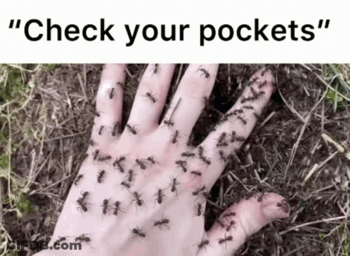 A Hand Covered In Ants With The Words " Check Your Pockets " GIF