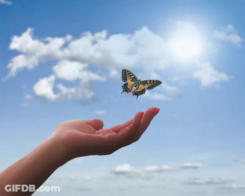 A Hand Holding A Butterfly In The Sky With Clouds GIF