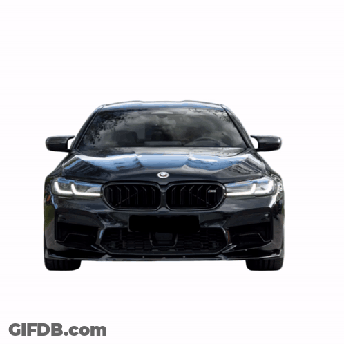 A Hand Holding A Cat In Front Of A Bmw GIF