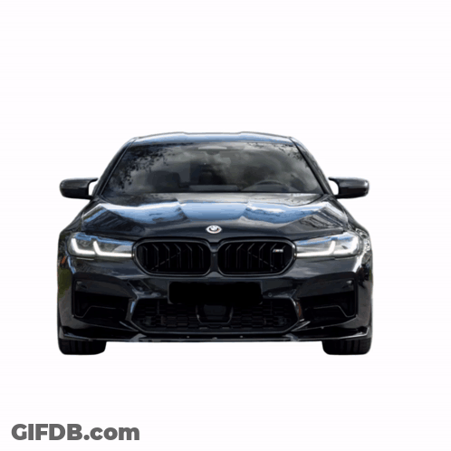 A Hand Holding A Cat In Front Of A Bmw GIF