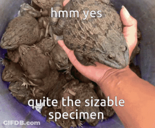 A Hand Is Holding A Frog In Front Of A Bucket Of Frogs With The Caption Hmm Yes Quite The Sizable Specimen GIF