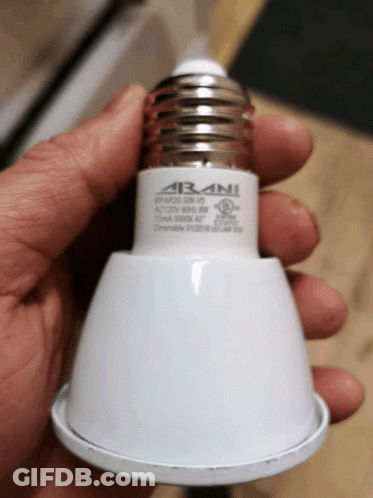 A Hand Is Holding A Light Bulb That Says " Arani " On It GIF