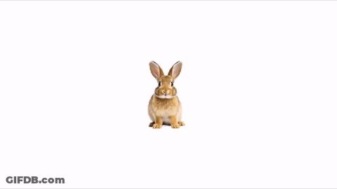 A Hand Is Holding A Small Rabbit With A Play Button On Its Thumb GIF