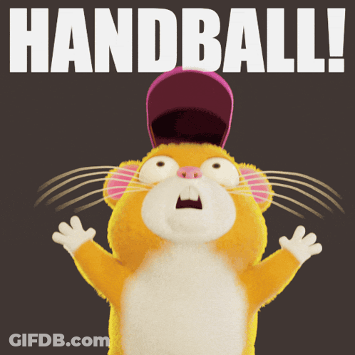 A Handball Poster With A Cartoon Mouse Wearing A Hat GIF