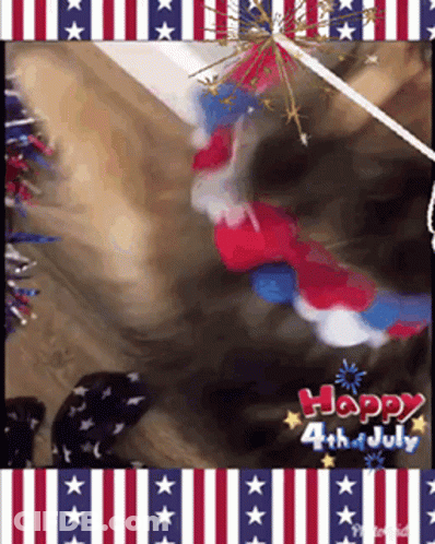 A Happy 4Th Of July Greeting Card With A Dog GIF
