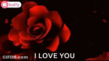A Happy Afternoon Message With A Red Rose GIF