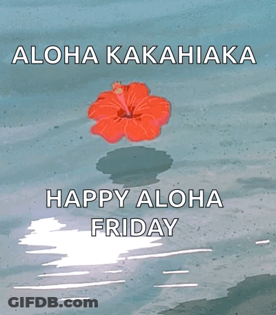 A Happy Aloha Friday Greeting Card With A Hibiscus Flower In The Water GIF