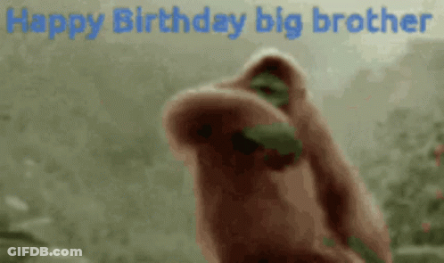 A Happy Birthday Big Brother Greeting Card With A Gorilla In The Background GIF