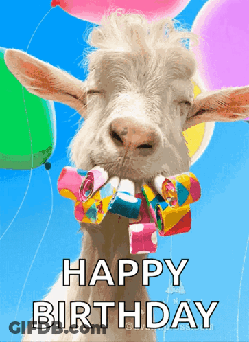 A Happy Birthday Card With A Goat Holding Balloons And Party Horns GIF