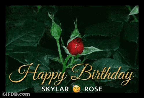 A Happy Birthday Card With A Red Rose On It GIF