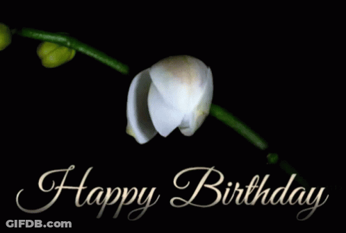 A Happy Birthday Card With A White Orchid On A Black Background GIF