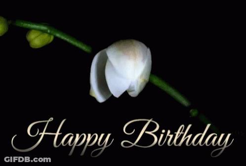 A Happy Birthday Card With A White Orchid On A Black Background GIF