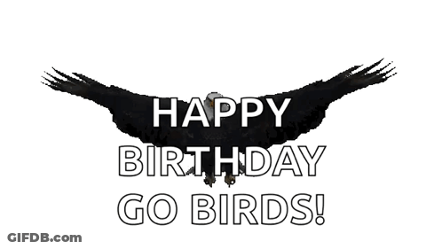 A Happy Birthday Go Birds Sign With A Black Bird GIF