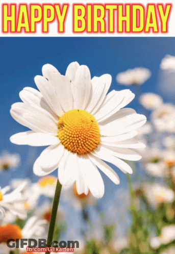 A Happy Birthday Greeting Card With A Daisy GIF