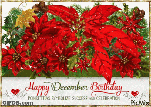 A Happy December Birthday Card With Poinsettia Flowers And Holly GIF