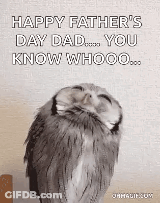 A Happy Father 'S Day Dad , You Know Whooo ... GIF