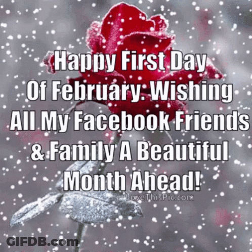 A Happy First Day Of February Wishing All My Facebook Friends And Family A Beautiful Month Ahead GIF