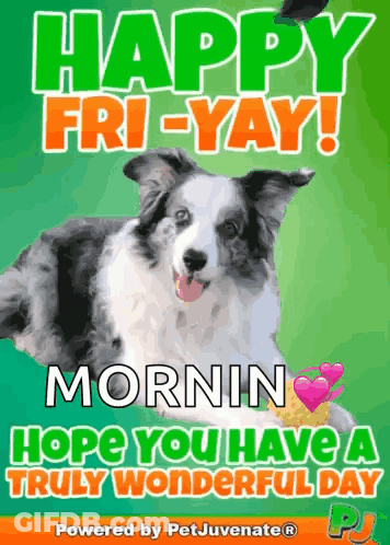 A Happy Friday Greeting Card With A Dog On It GIF