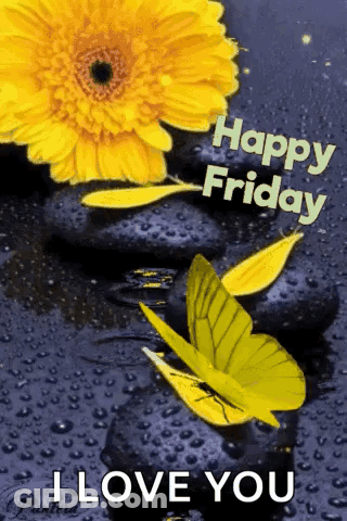 A Happy Friday Message With A Yellow Flower And Two Butterflies GIF