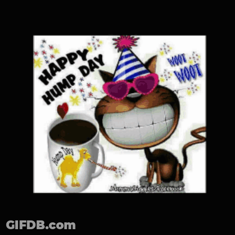 A Happy Hump Day Card With A Cat Wearing A Party Hat And Sunglasses Next To A Cup Of Coffee GIF