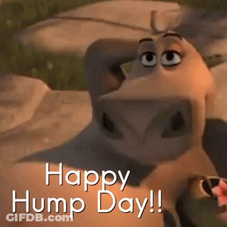 A Happy Hump Day Greeting With A Cartoon Cow GIF
