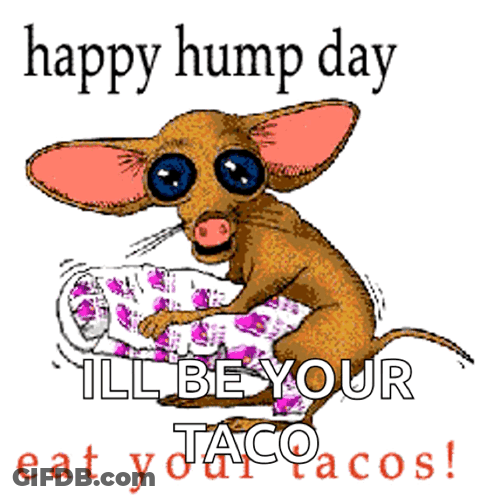 A Happy Hump Day Greeting With A Cartoon Dog GIF