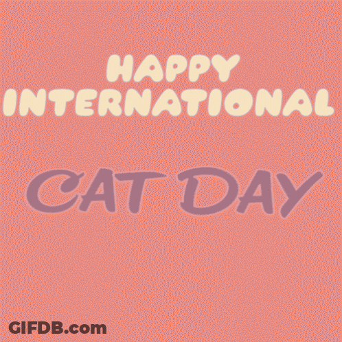 A Happy International Cat Day Poster With Cats On It GIF