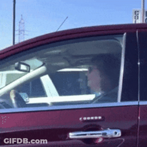 A Happy Lady Van Driver GIF
