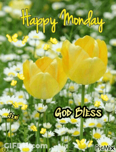 A Happy Monday Card With Yellow Flowers And Daisies GIF