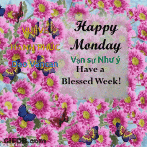 A Happy Monday Message With Flowers And Butterflies GIF