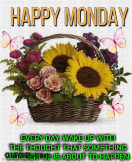 A Happy Monday Message With Flowers And Butterflies GIF