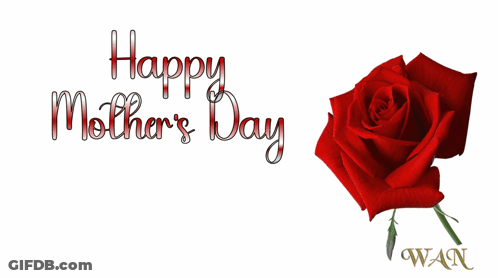 A Happy Mother 'S Day Greeting Card With A Red Rose GIF