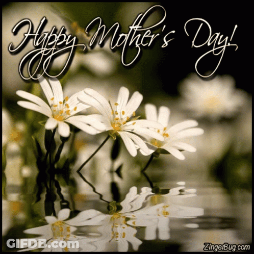 A Happy Mother 'S Day Greeting Card With Flowers GIF