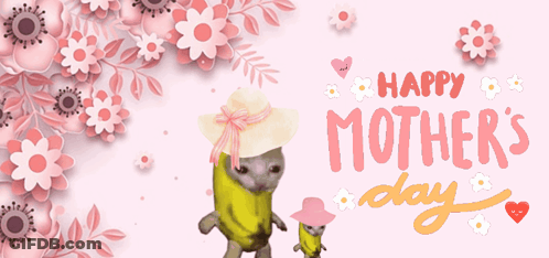 A Happy Mother 'S Day Greeting Card With Flowers And A Cat GIF