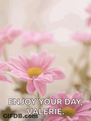 A Happy Mother 'S Day Greeting Card With Pink Daisies GIF