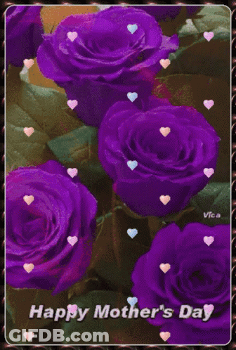 A Happy Mother 'S Day Greeting Card With Purple Roses GIF