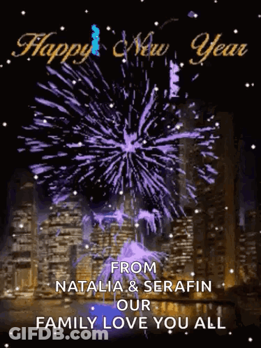 Happy New Year Card With Fireworks From Natalia & Serafin GIF