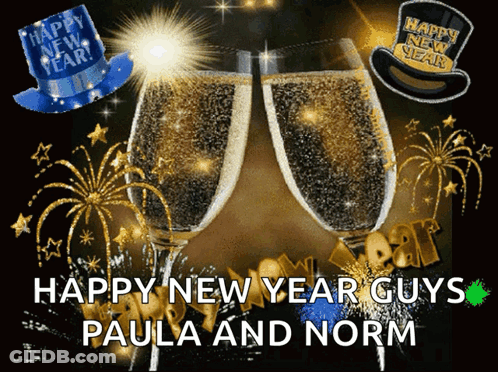 A Happy New Year Guys Paula And Norm Poster GIF