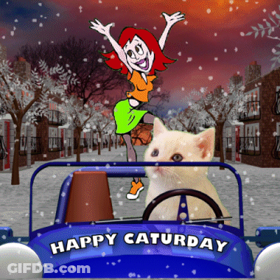 A Happy Saturday Greeting Card With A Woman And A Cat In A Car GIF