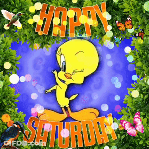 A Happy Saturday Greeting Card With Tweety In The Center GIF