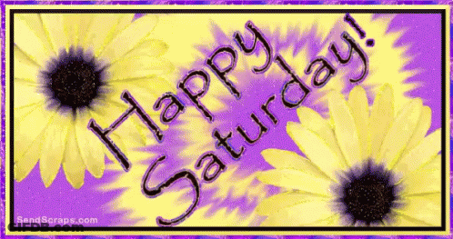 A Happy Saturday Greeting Card With Yellow Daisies GIF