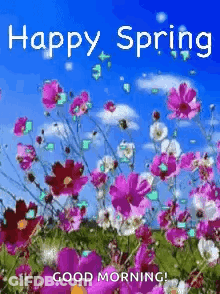 A Happy Spring Good Morning Greeting Card With Flowers In A Field . GIF