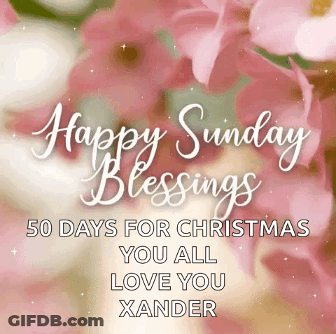 A Happy Sunday Blessings 50 Days For Christmas You All Love You Xander Greeting Card With Pink Flowers In The Background GIF