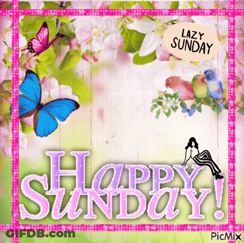 A Happy Sunday Card With Butterflies And Birds On It GIF