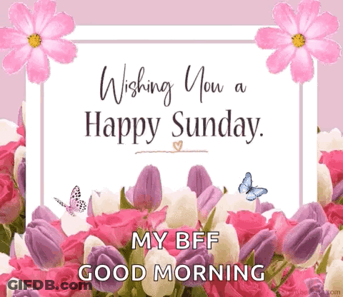 A Happy Sunday Greeting Card With Pink And White Flowers And Butterflies . GIF