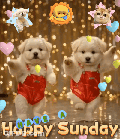 A Happy Sunday Greeting Card With Two Dogs And A Cat GIF
