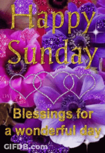 A Happy Sunday Greeting With Purple Flowers And Hearts GIF